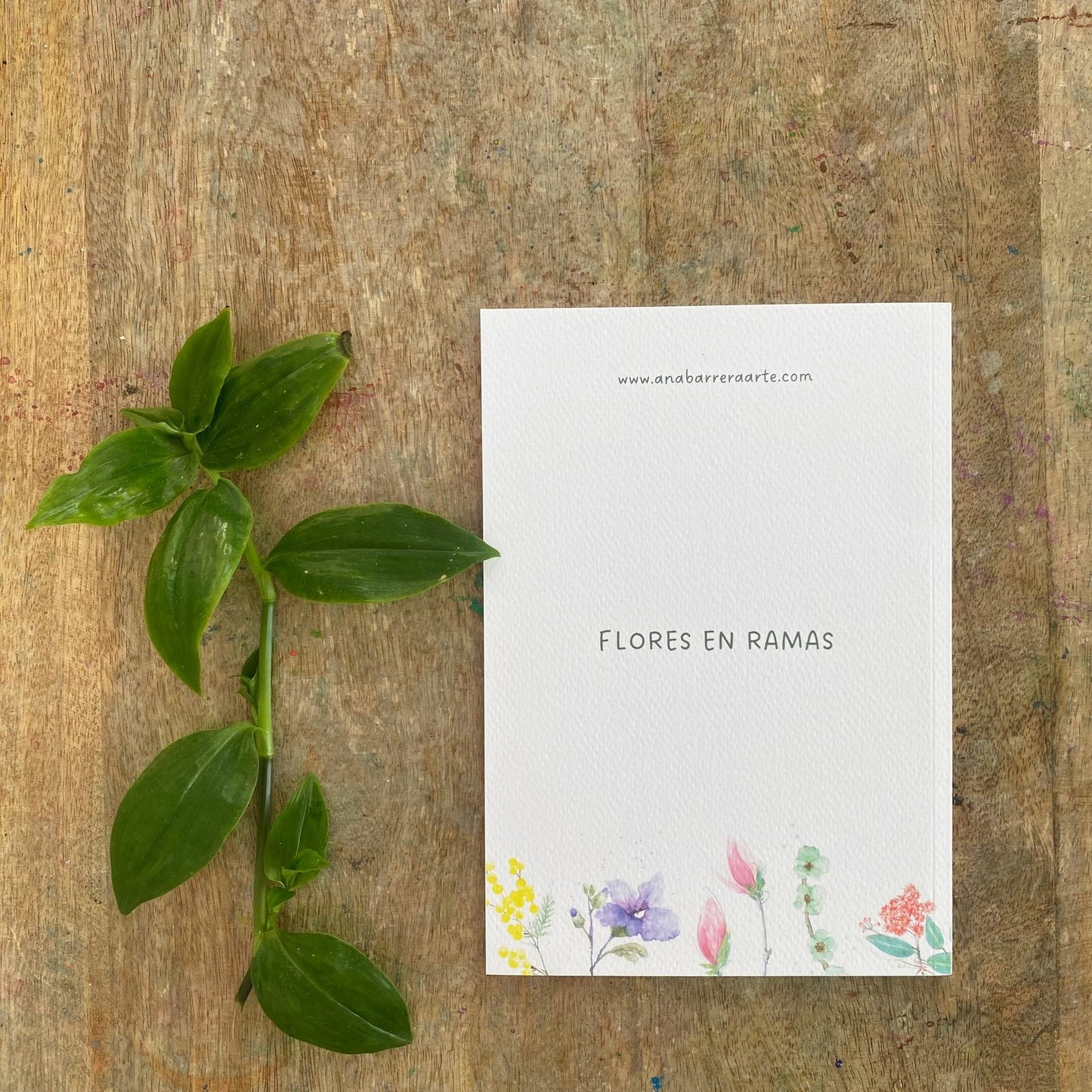 Cuaderno con diseño a la acuarela Flor del eucalipto