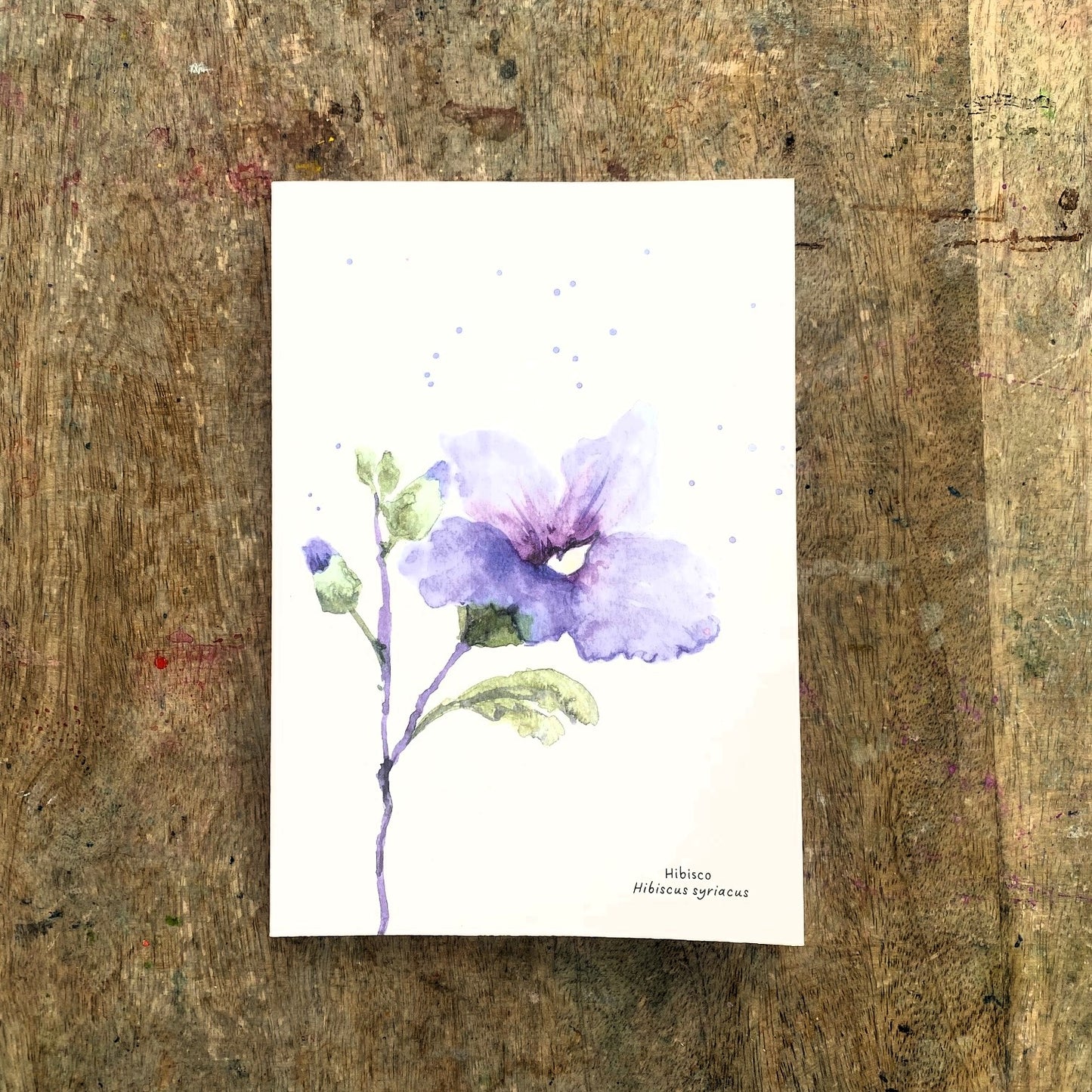 Cuaderno con diseño a la acuarela Hibisco