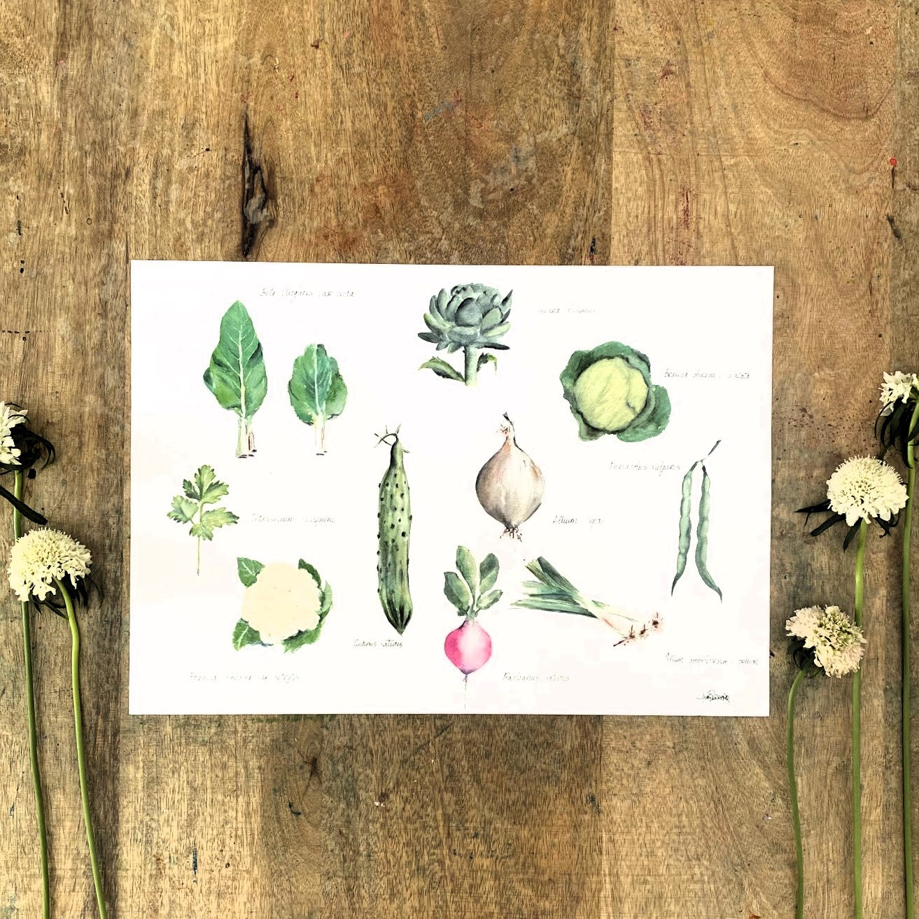 Póster "Las veguis" - lámina print de acuarela