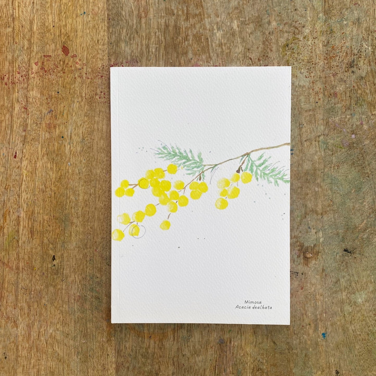 Cuaderno con diseño a la acuarela Flor de la mimosa