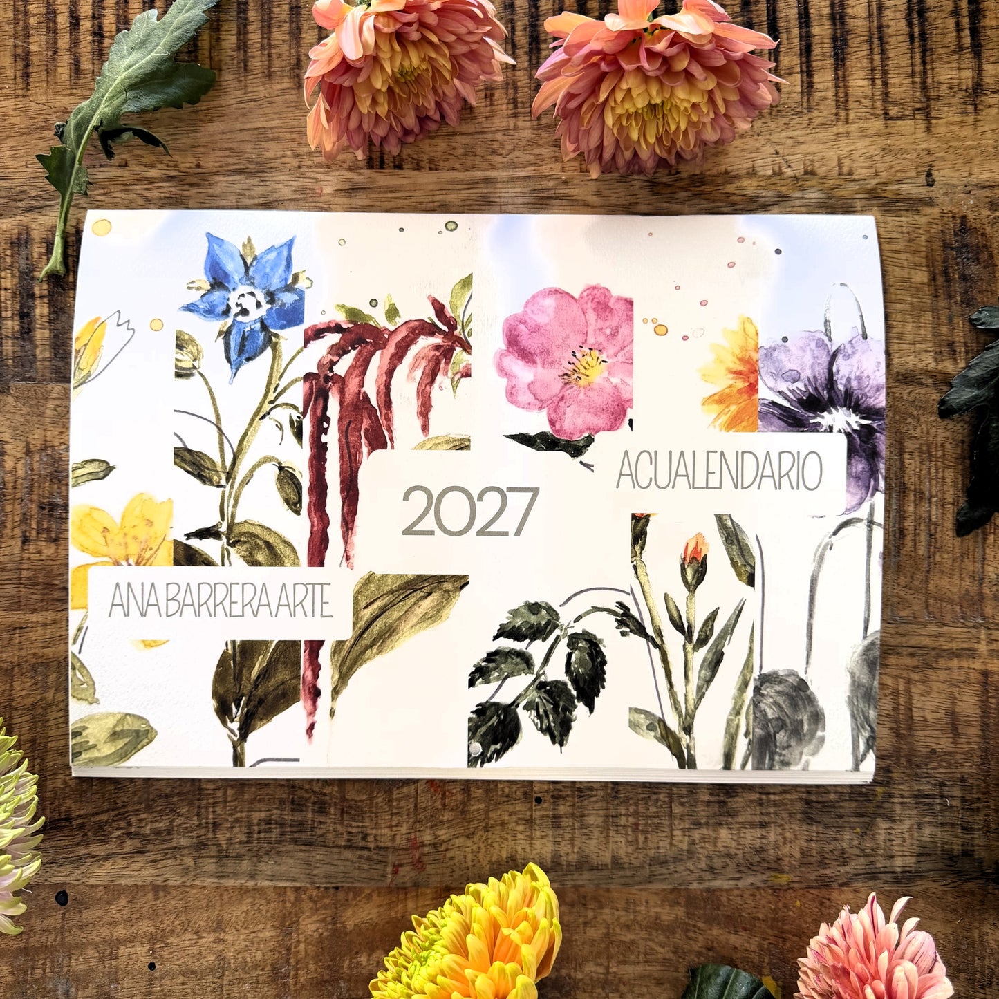 Acualendario de pared 2027 Flores que curan