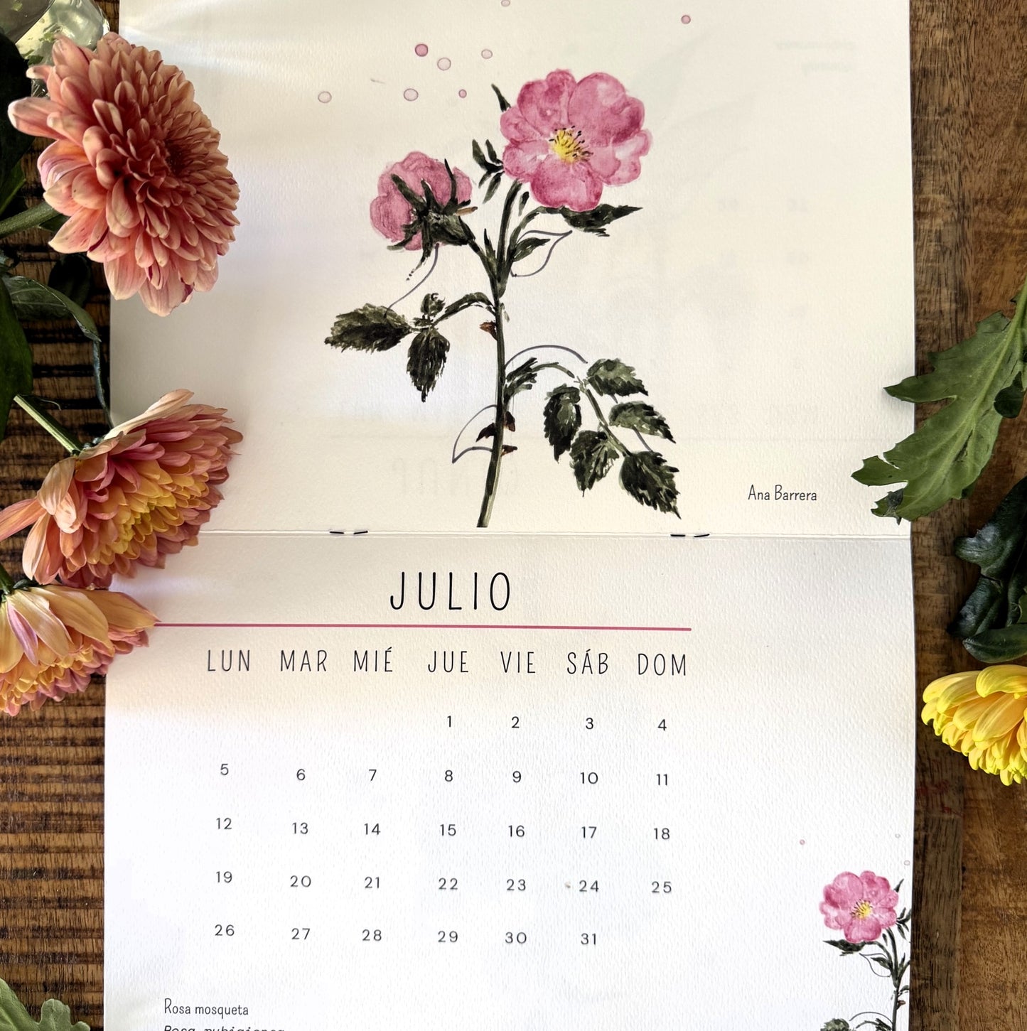 Acualendario de pared 2027 Flores que curan