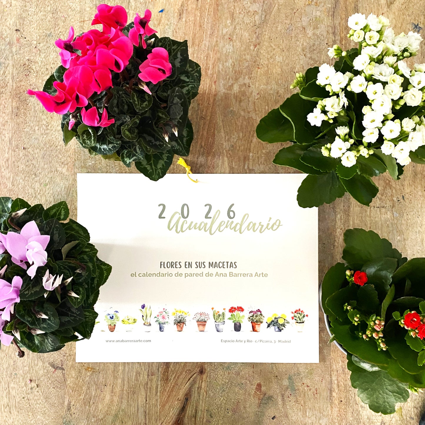 Acualendario de pared 2026 Flores en sus macetas