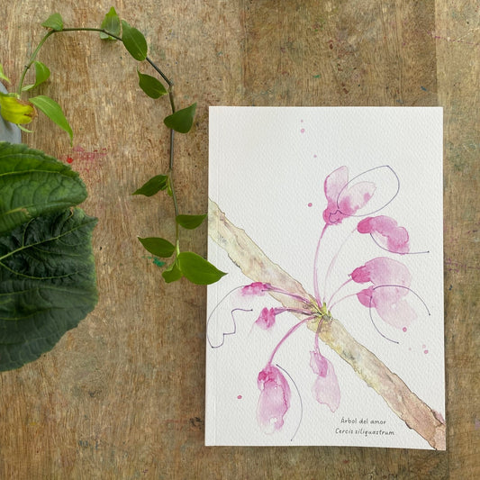 Cuaderno con diseño a la acuarela Flor del árbol del amor