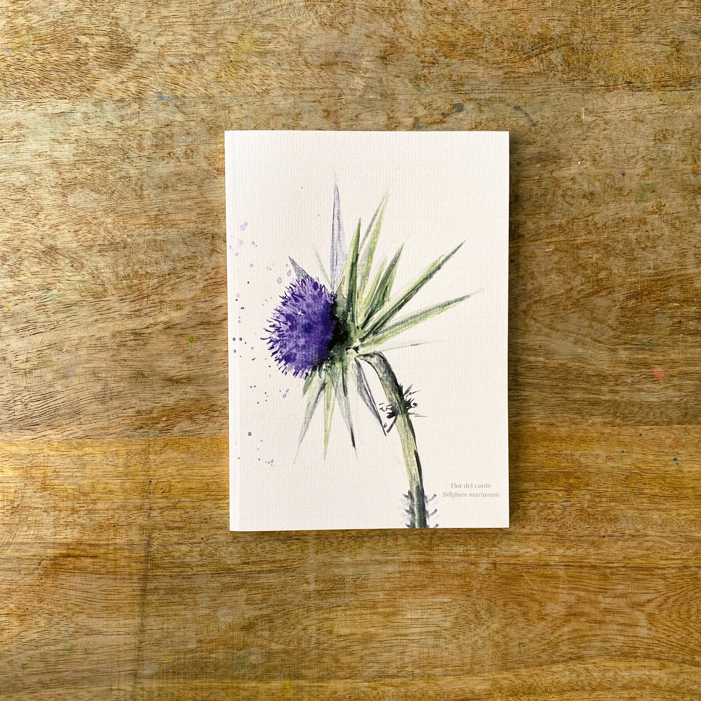 Cuaderno con diseño a la acuarela Flor del cardo