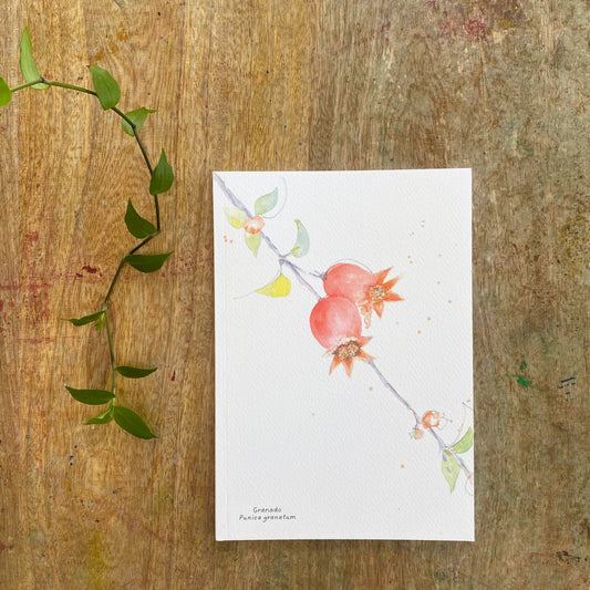Cuaderno con diseño a la acuarela Flor del granado