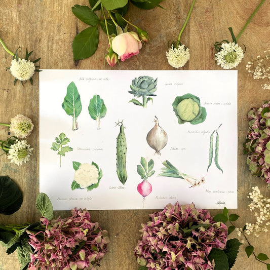 Póster "Las veguis" - lámina print de acuarela