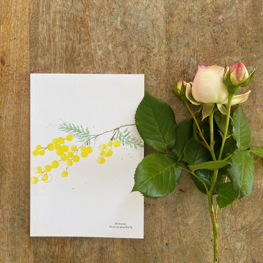 Cuaderno con diseño a la acuarela Flor de la mimosa