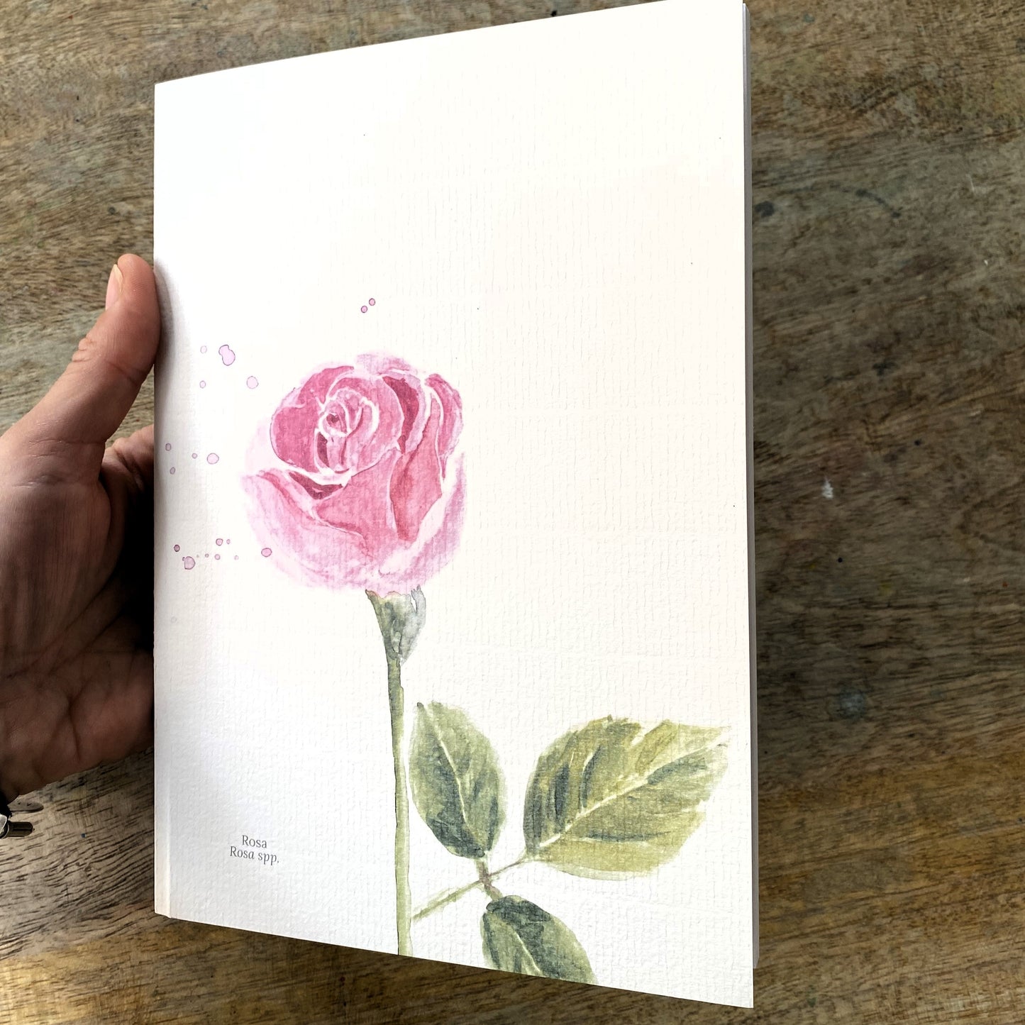 Cuaderno con diseño a la acuarela Rosa